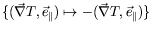 $ \{(\vec{\nabla}T,\vec{e}_\parallel)
\mapsto -(\vec{\nabla}T,\vec{e}_\parallel)\}$